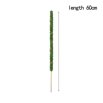 Natural Handmade Growth-Enhancing Moss Stick for Indoor Plants