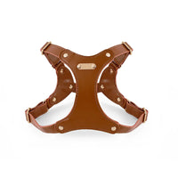Brown chest strap