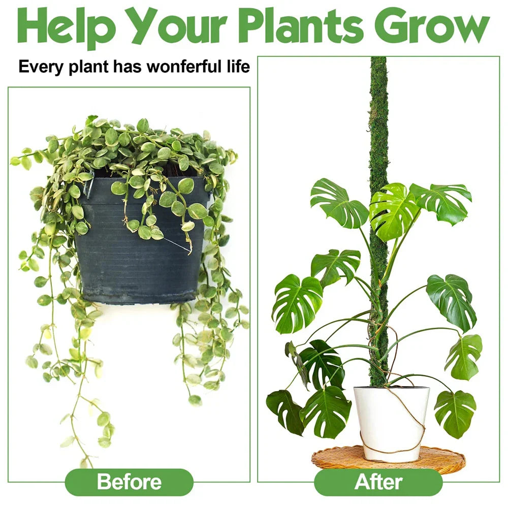Natural Handmade Growth-Enhancing Moss Stick for Indoor Plants