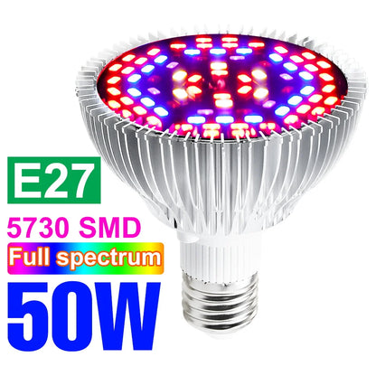 Full Spectrum LED Grow Light for Healthy Plant Growth - Energy Efficient