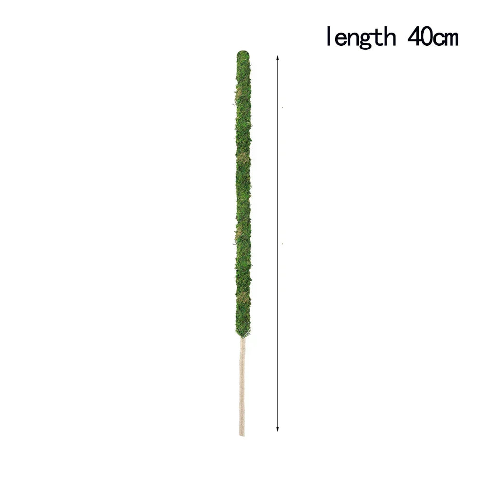 Natural Handmade Growth-Enhancing Moss Stick for Indoor Plants