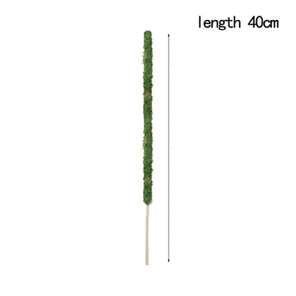 Natural Handmade Growth-Enhancing Moss Stick for Indoor Plants