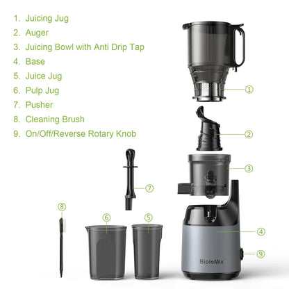Slow Masticating Juicer with Wide Chute, Quiet Motor & Easy Clean Plug