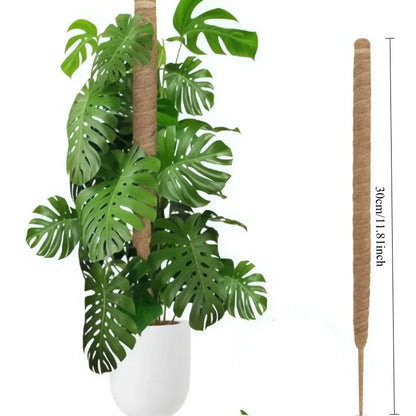 Large Coconut Plant Support Stake | Flexible Coco Fiber Support | Ideal for Monstera & Climbing Plants
