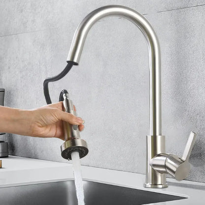 Multifunctional Kitchen Spray Attachment with Dual Spray Types