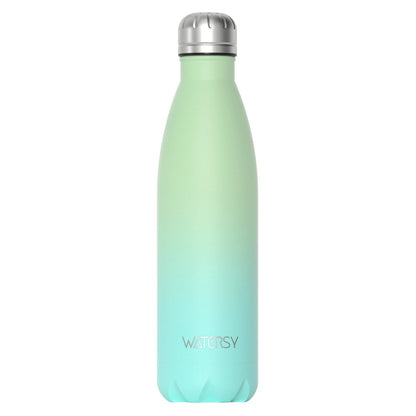 500ml Vacuum Insulated Stainless Steel Water Bottle
