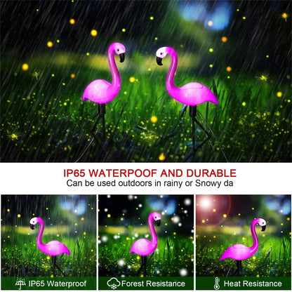 Buy One Get One Free | Stylish Garden Lighting Solution