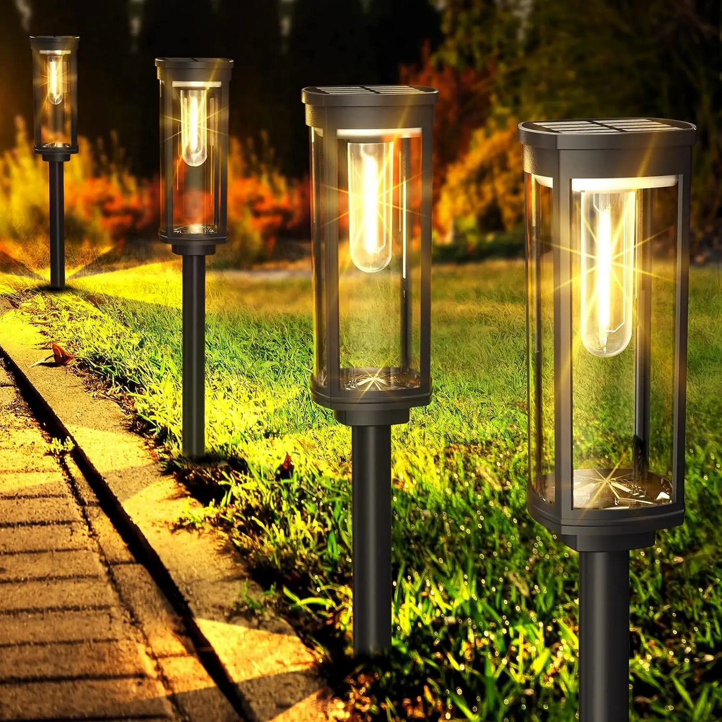 Get 2 Extra Free | Eco-Friendly Solar Outdoor Lighting for Your Garden