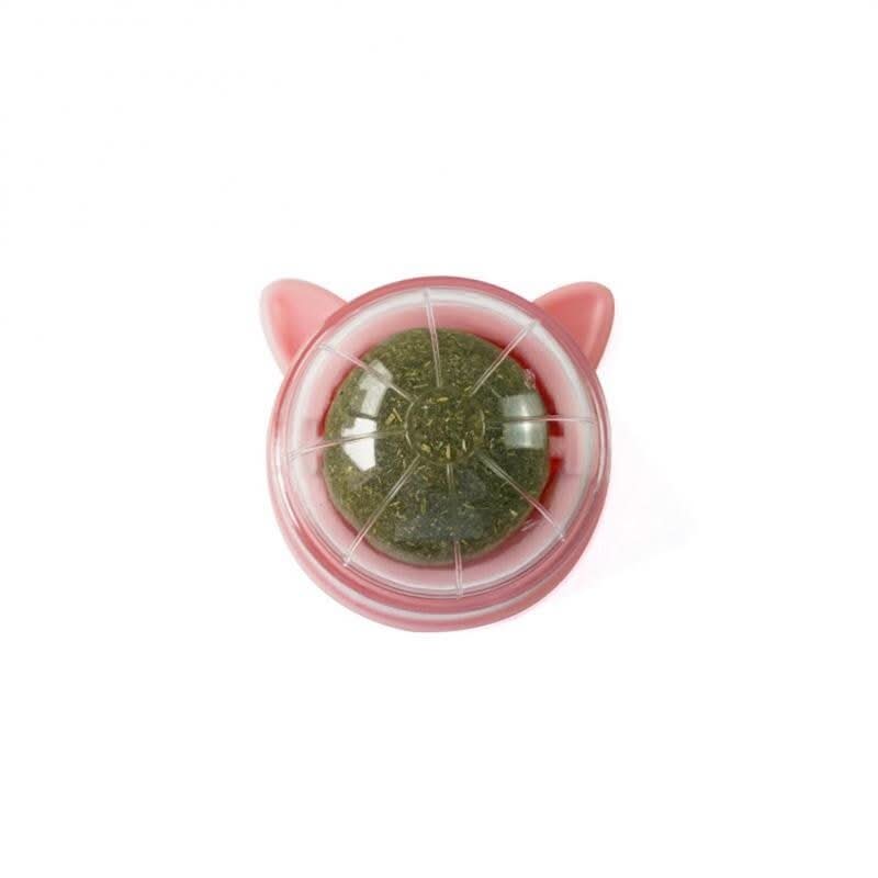 Catnip Toy for Cats – Rotating Ball & Mint for Dental Health