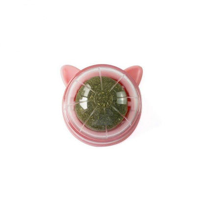 Catnip Toy for Cats – Rotating Ball & Mint for Dental Health