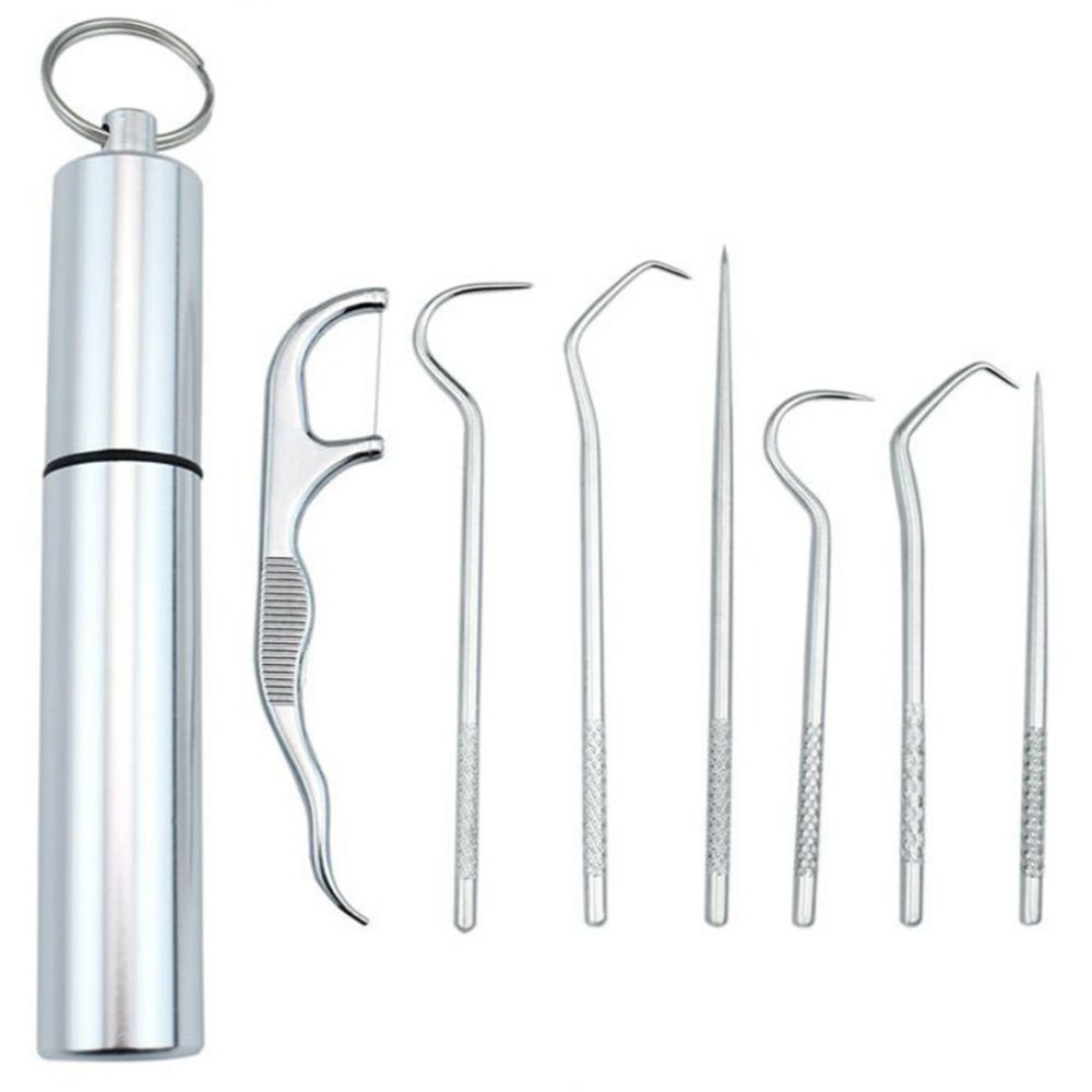Stainless Steel Toothpick Set of 7 Pieces