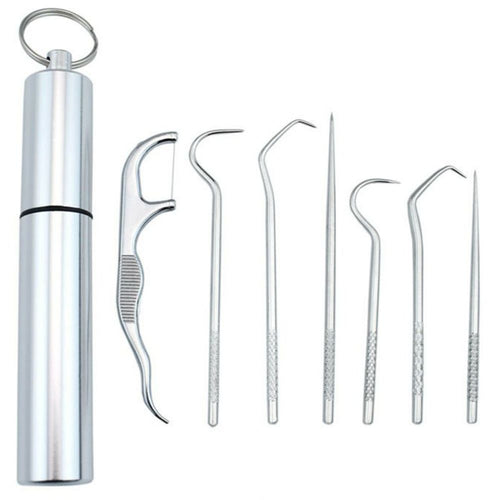 Stainless Steel Toothpick Set of 7 Pieces
