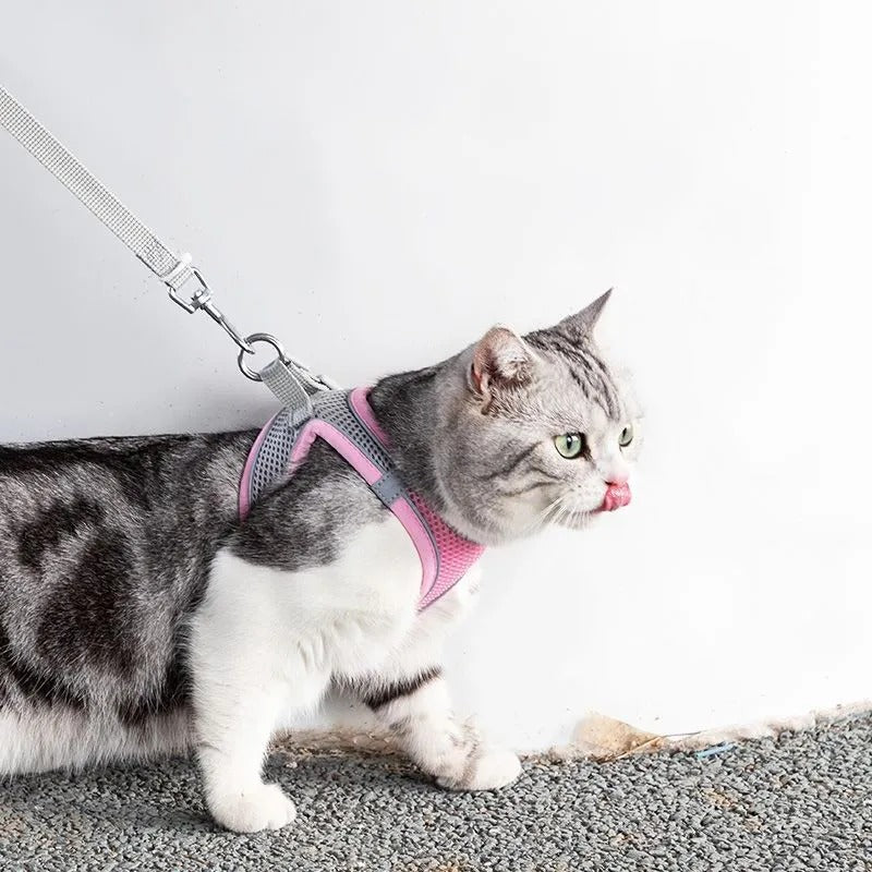 Adjustable Reflective Cat Harness with Leash for Adventurous Pets
