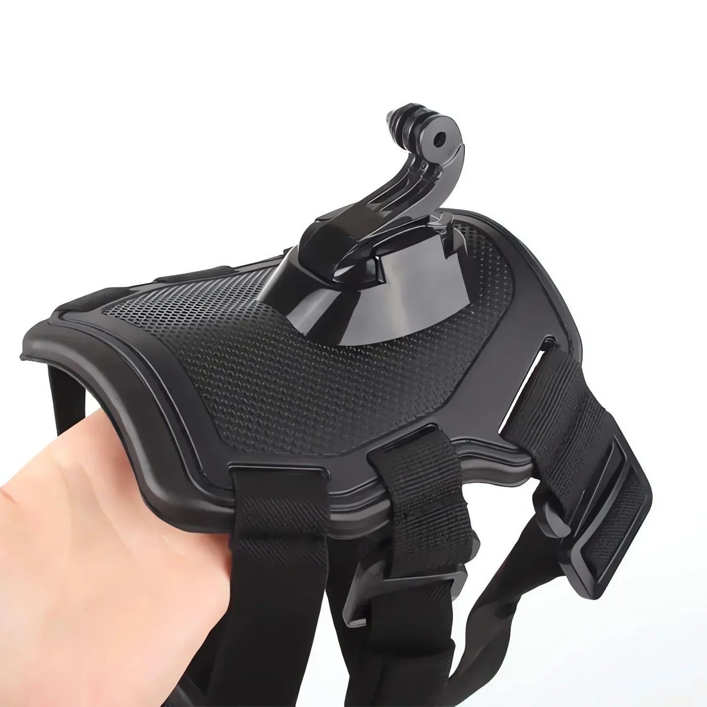 360° View Dog Harness for Adventurous Pups