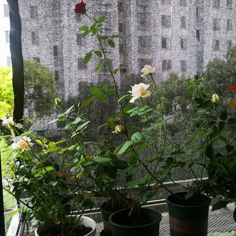 Shade Netting for Garden, Patio & Balcony | 70-80% UV Protection | Weather Resistant & Breathable