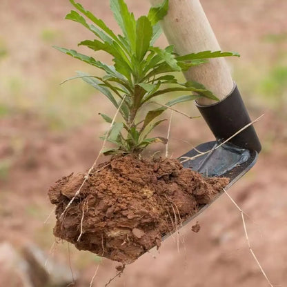 Compact and Sturdy Garden Hoe | Made of Manganese Steel | For Weeding and Soil Work