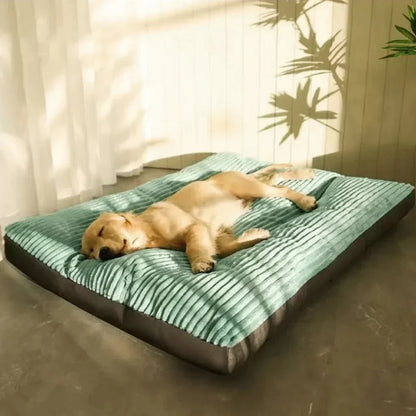 Comfortable Dog Bed for Puppies, Adults, and Seniors - Soft Supportive Design