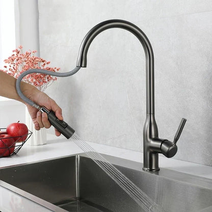 Adjustable Kitchen Faucet with Hand Shower – AquaStream Luxe Design