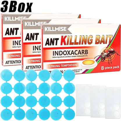 Effective Ant Control Solution for Home and Garden