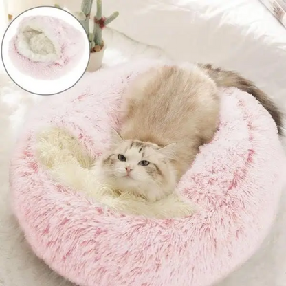 Dog Beds for Relaxing Sleep and Comfort
