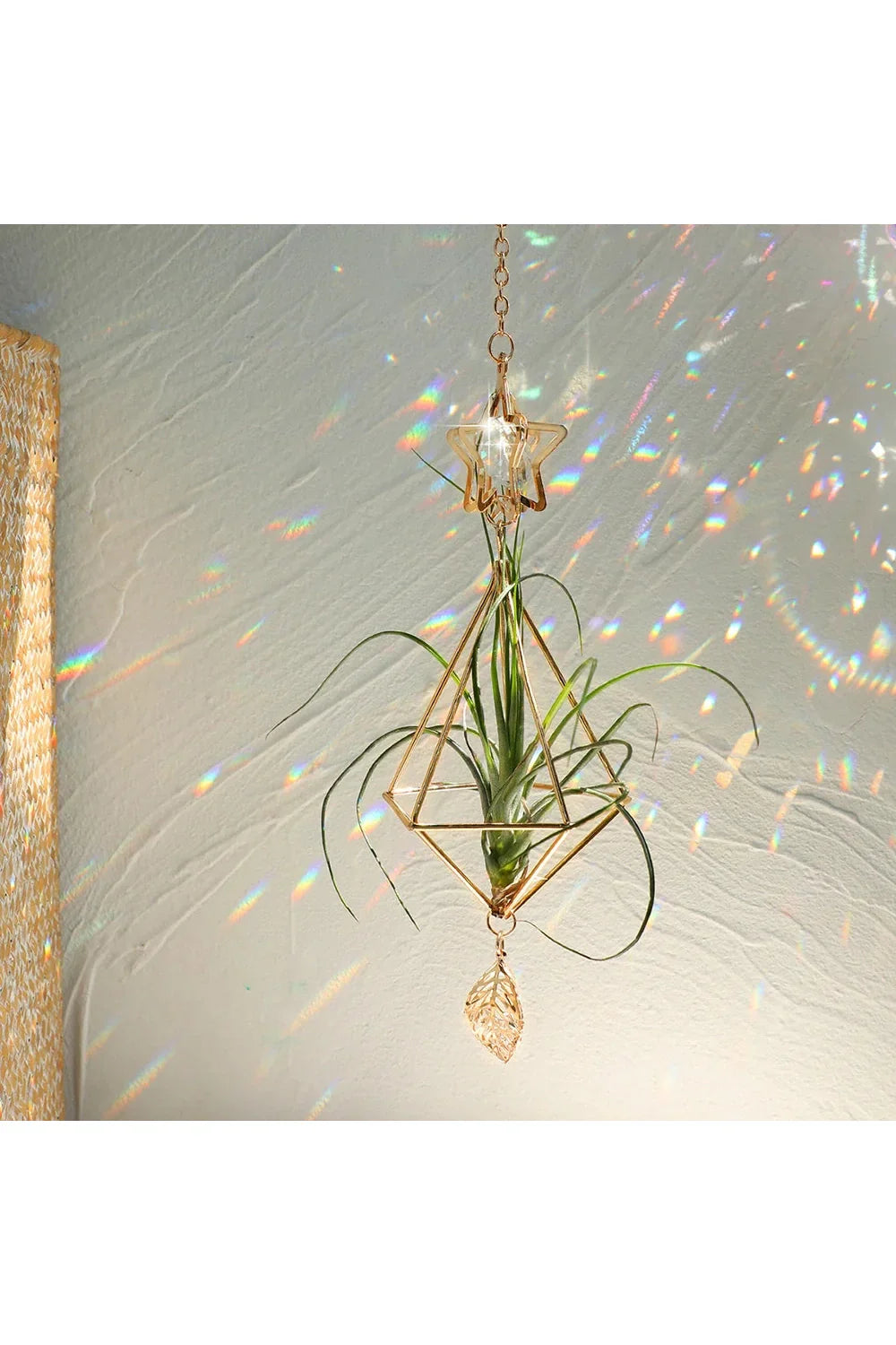 Sun Catcher for Air Plants