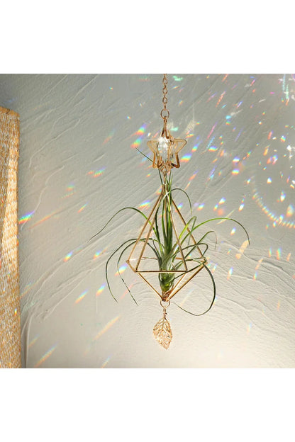 Sun Catcher for Air Plants