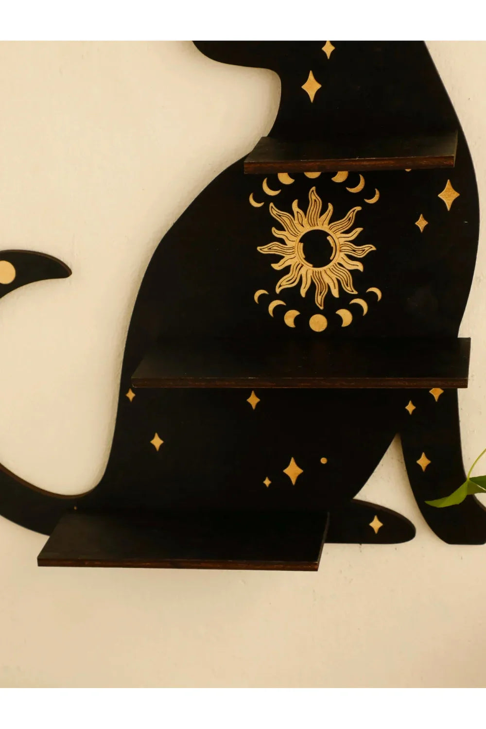 Sun Cat Shelf for Indoor Use