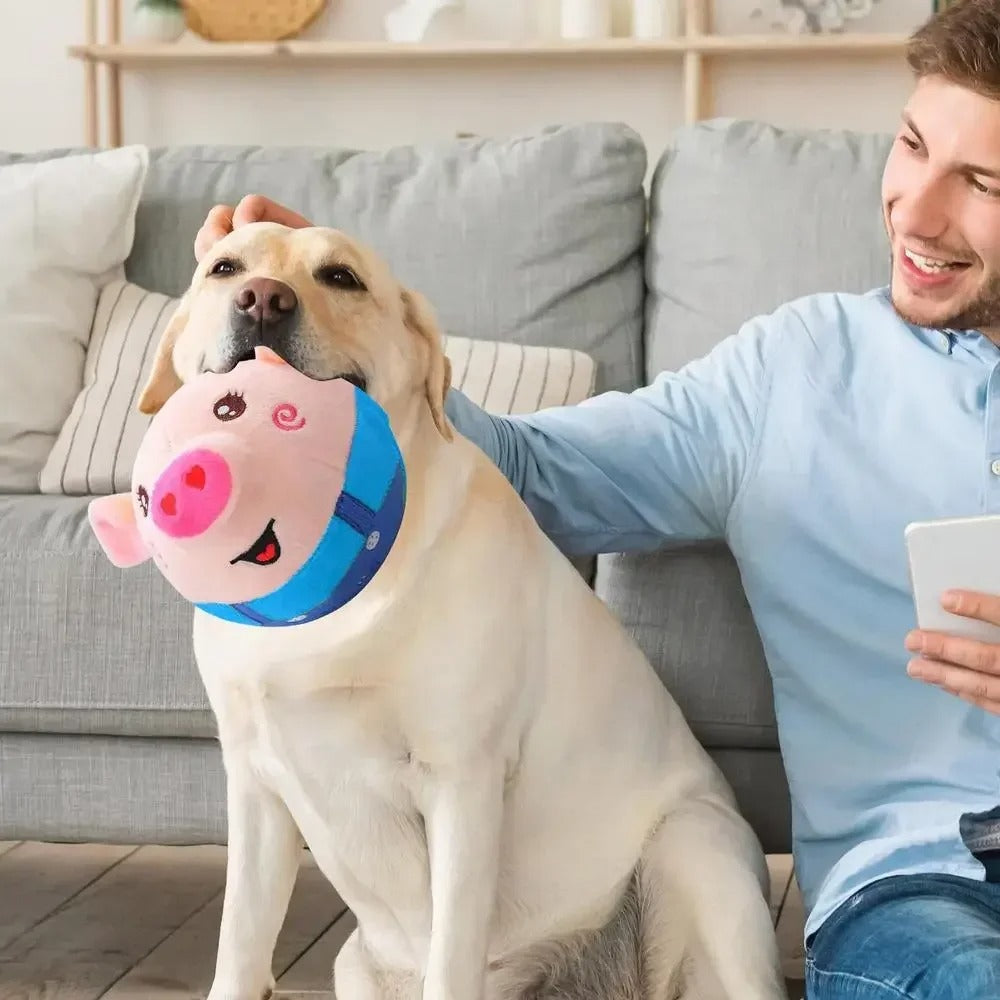Dynamic Interactive Pet Play Ball for Endless Fun