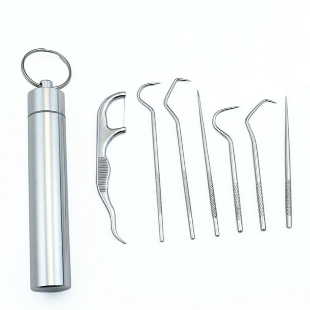 Stainless Steel Toothpick Set of 7 Pieces
