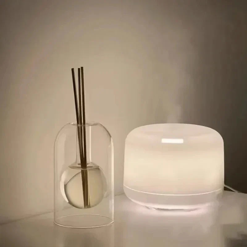 Home Fragrance Set with Scented Oil and Glass Reed Diffuser