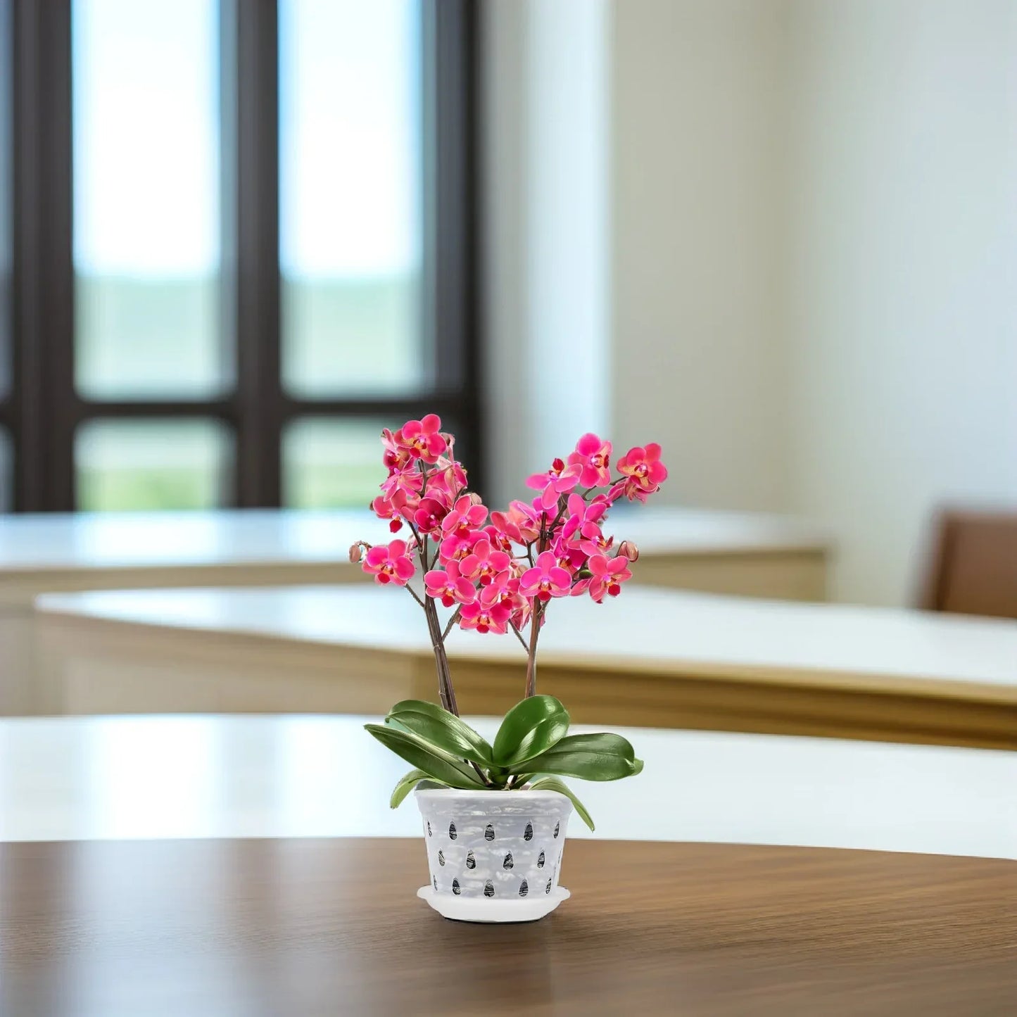 Set of 5 Transparent Orchid Flower Pots - Durable with Drainage Holes for Healthy Growth