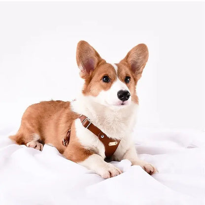 Customizable Leather Dog Harness for Ultimate Comfort