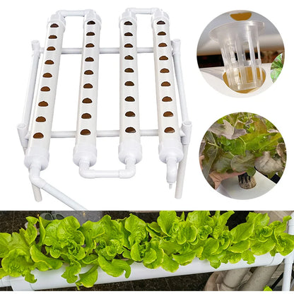 Indoor Hydroponics System with Pump & Timer - 36 Plant Spaces for Herbs & Vegetables - White