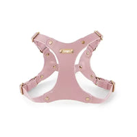 Rosa Chest Strap