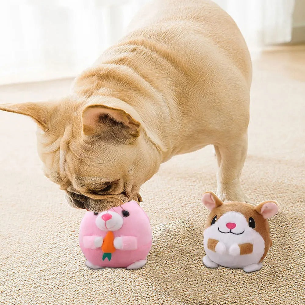Dynamic Interactive Pet Play Ball for Endless Fun