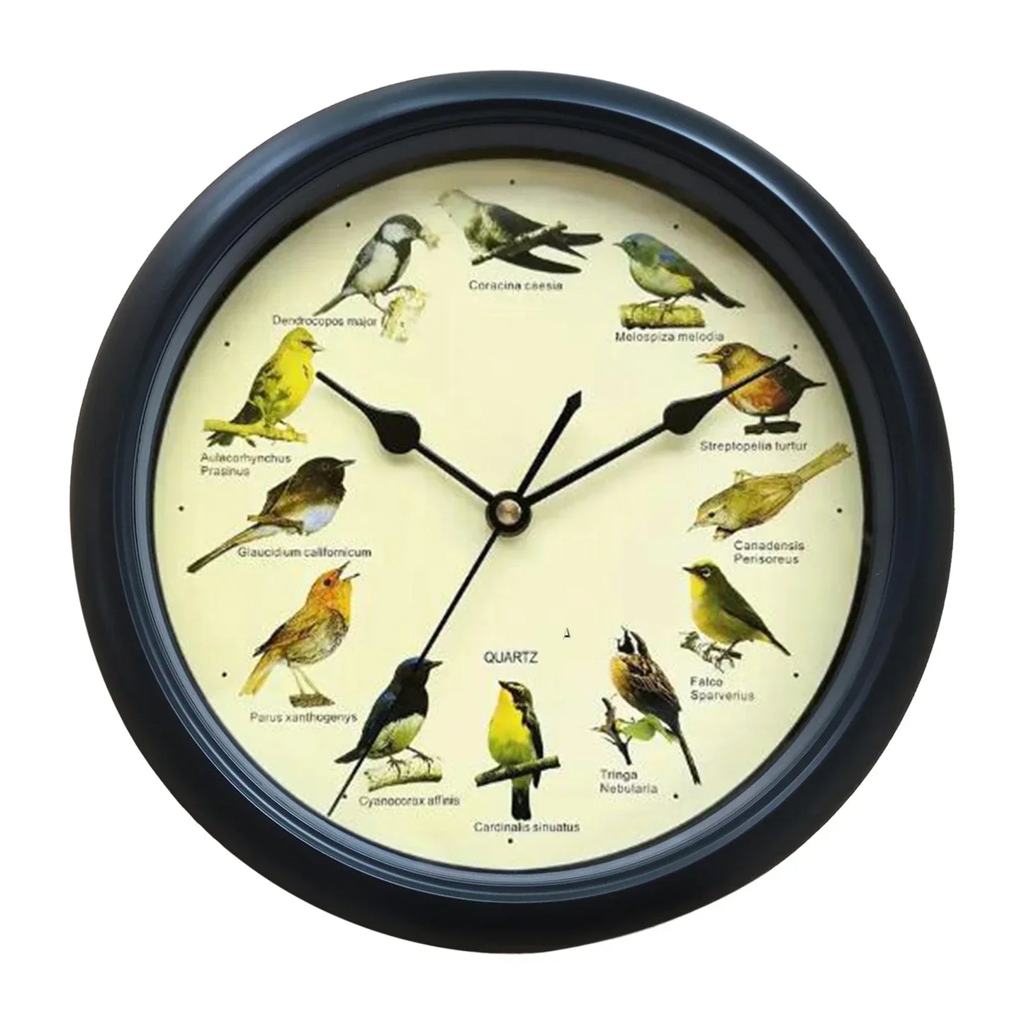 10-Inch Wall Clock Featuring Bird Sounds for Elegant Home Decor