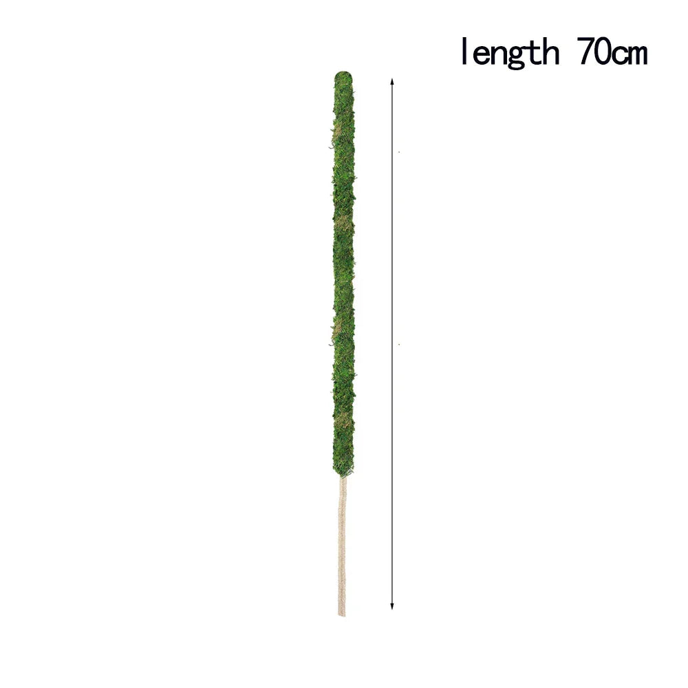 Natural Handmade Growth-Enhancing Moss Stick for Indoor Plants