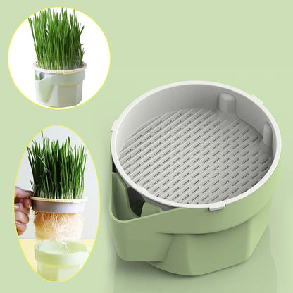 Cat Grass Cup | Soil-Free | BPA-Free & Reusable | For Sprouts & Wheatgrass