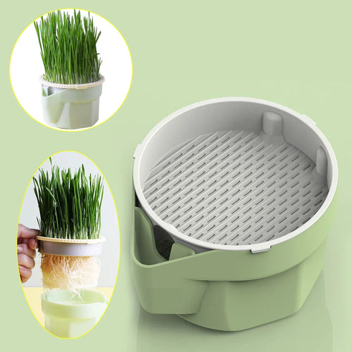 Cat Grass Cup | Soil-Free | BPA-Free & Reusable | For Sprouts & Wheatgrass