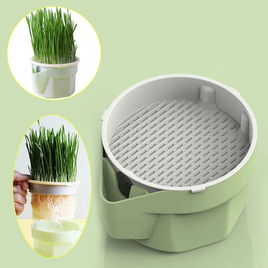 Cat Grass Cup | Soil-Free | BPA-Free & Reusable | For Sprouts & Wheatgrass