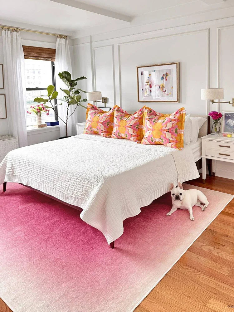 Blush Ombre Area Rug – Perfect for Any Room