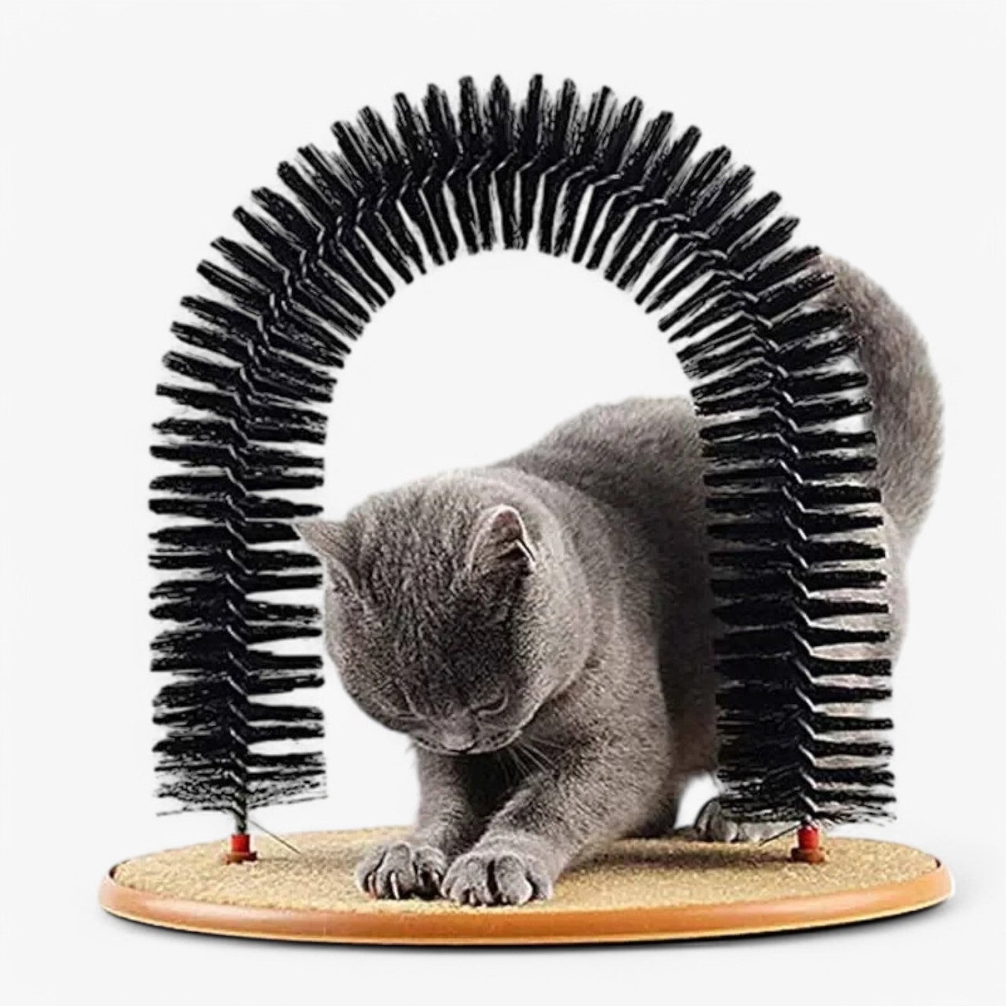 Cat Care Arch with Scratching Mat and Massage Feature