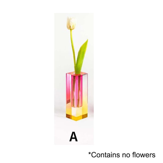Colorful Indoor Plant Pot Set