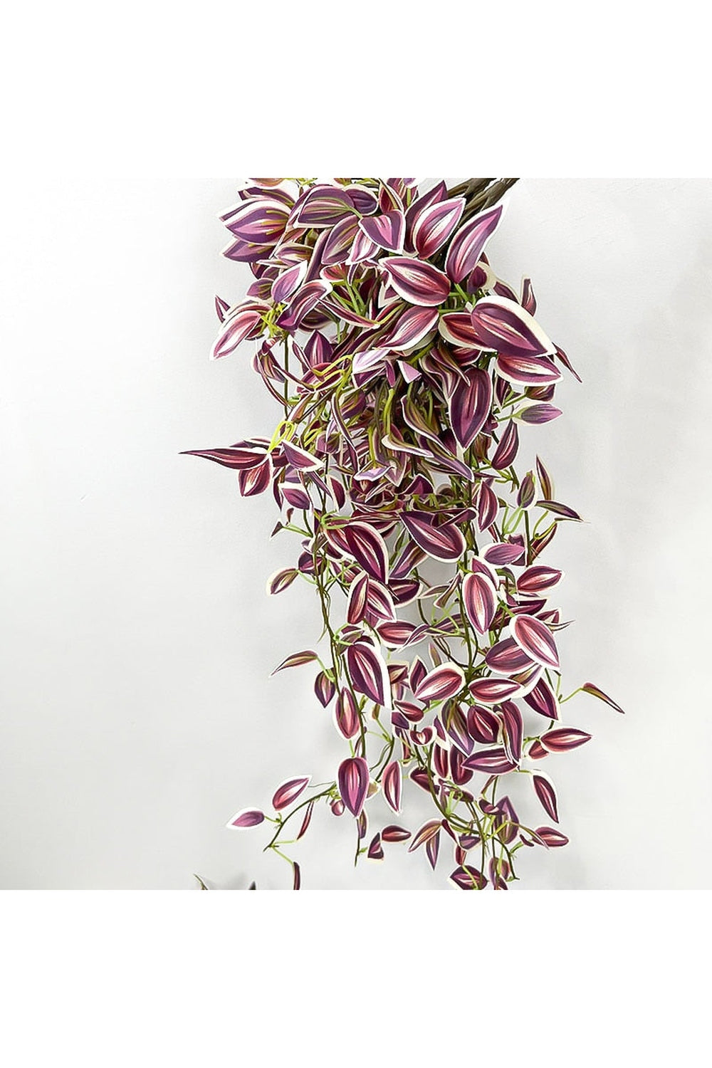 Bamboo Leaf Herbal Infusion