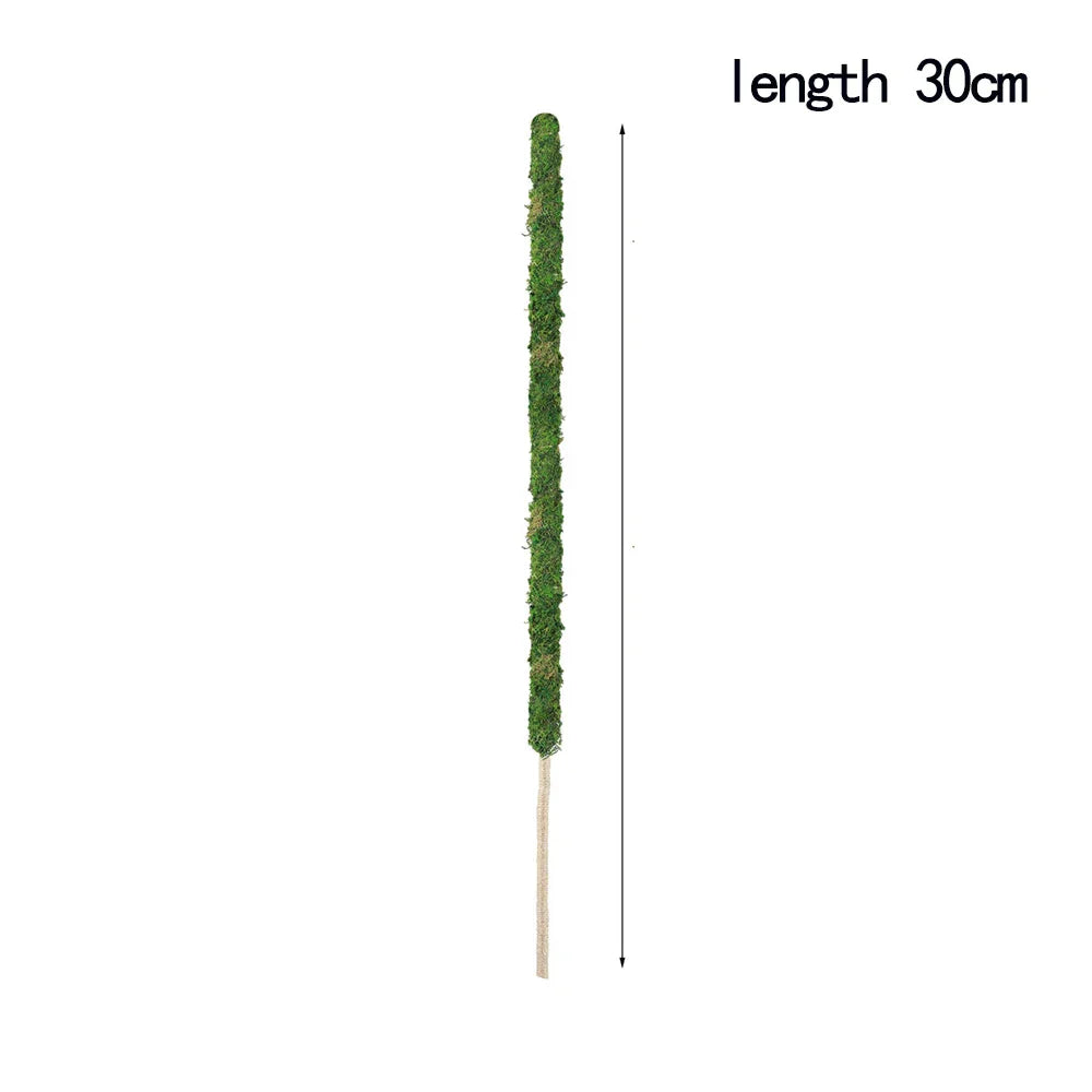 Natural Handmade Growth-Enhancing Moss Stick for Indoor Plants