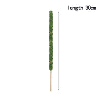 1 Piece 30cm