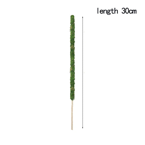 Natural Handmade Growth-Enhancing Moss Stick for Indoor Plants