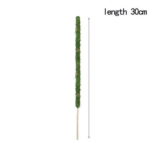 Natural Handmade Growth-Enhancing Moss Stick for Indoor Plants
