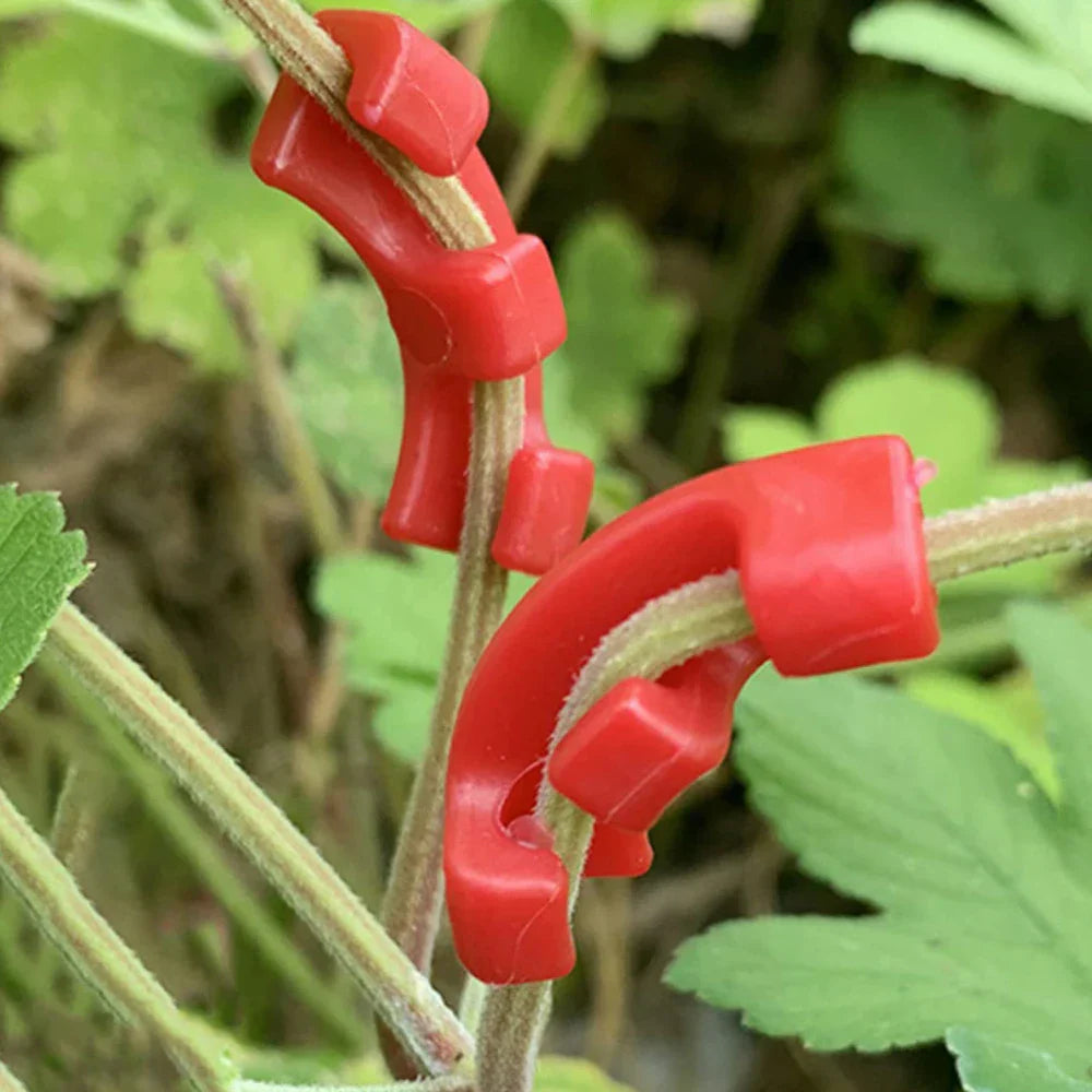 Plant Clips for Low-Stress Training | Reusable for Better Growth of Shoots & Herbs