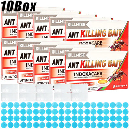 Effective Ant Control Solution for Home and Garden